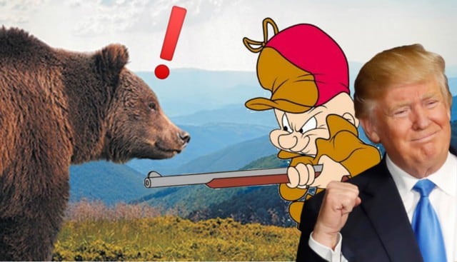Noticias insólitas: Gobierno de Trump cambia normas para permitir cazar osos en Alaska con cebos | EE.UU.