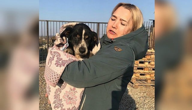 Se viralizó en YouTube la insólita historia de Dik, el perro que 'revivió' y que se reencontró con sus dueñas. (Foto: Irina Mudrova)
