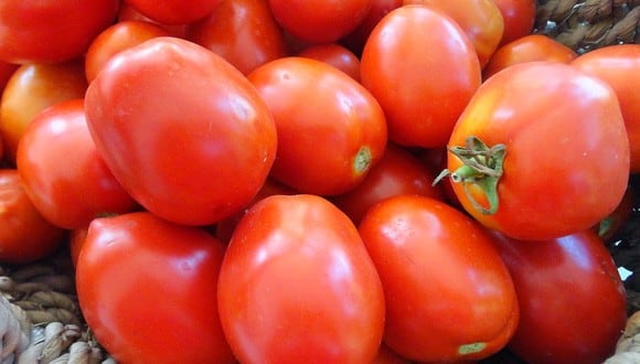A muchos nos gustan los tomates y muchos los dejamos varios días en el refrigerador. Si quieres que su sabor no se pierda, no lo hagas más.