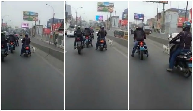 Usuarios de Facebook expresaron su admiración por el gesto de los jóvenes motociclistas. (Foto: Captura)