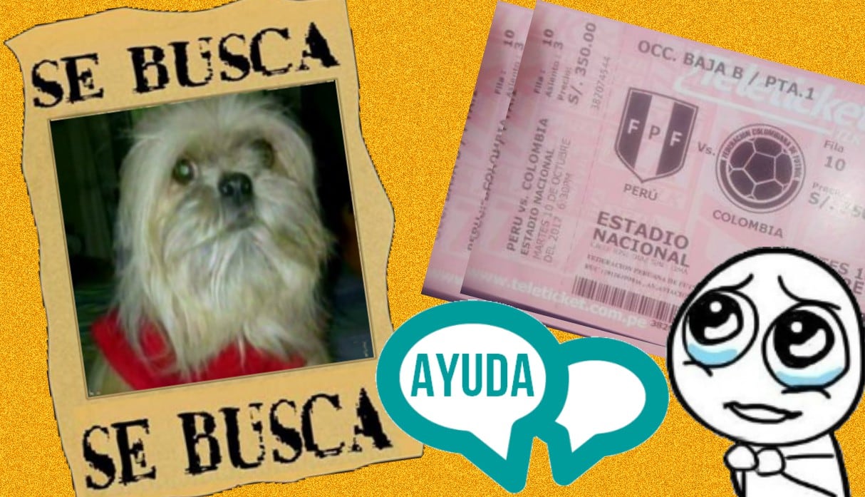 Foto 1: Familia ofrece dos entradas para el Perú vs. Colombia a quien encuentre a su perrito 'Toto'