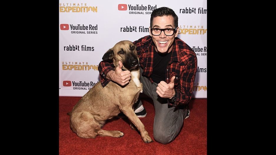 Steve-O de ‘Jackass’ hizo desfilar en Hollywood a perrita peruana que adoptó de la calle (Getty Images)