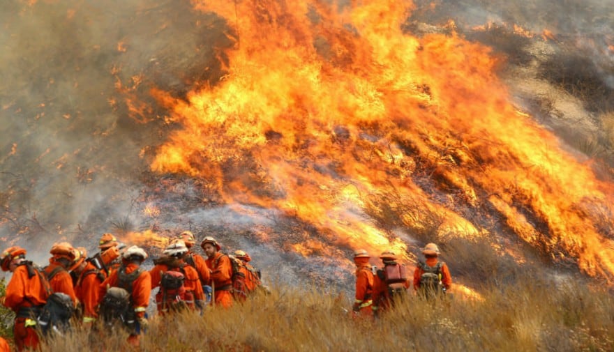 Así es el incendio forestal que arrasa con todo en Los Ángeles