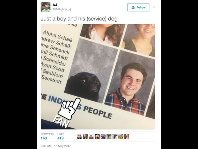 Alpha, el perrito más popular de Twitter. Fotos: Buzzfeed.