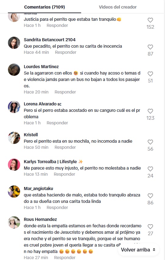 Usuarios sacan cara por el perrito que viajaba en el Metropolitano.