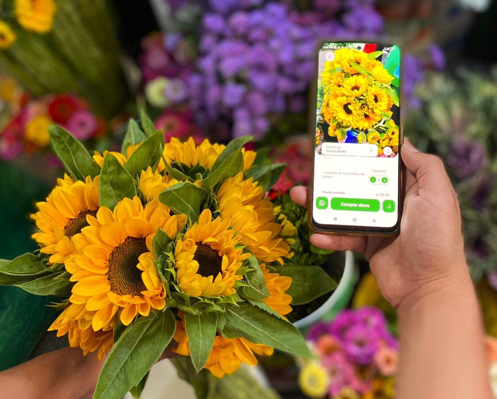 El crecimiento ha sido progresivo, pero a la vez acelerado y eso se vereflejado en la cantidad de envíos que va creciendo mes a mes.