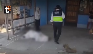 Asesinan a hombre frente a bodega en Surco: sicarios lo ejecutan a balazos a plena luz del día