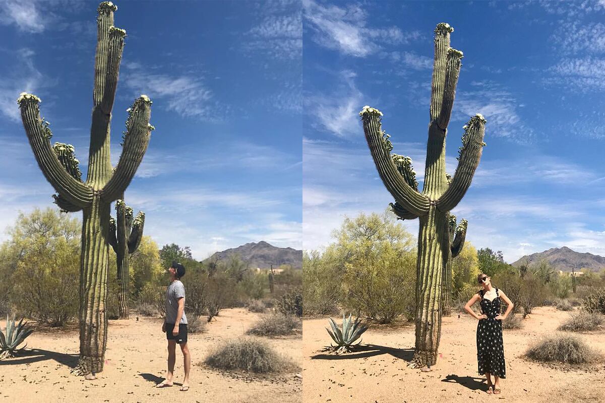En mayo de 2018, tanto Alwyn como Swift publicaron fotos de ellos mismos el mismo día, parados junto al mismo cactus. (Instagram/ @taylorswift @joe.alwyn)