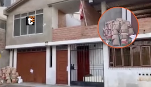 ¡Conmoción en Tacna! Hallan sin vida y enterrada en su casa a empresaria reportada como desaparecida