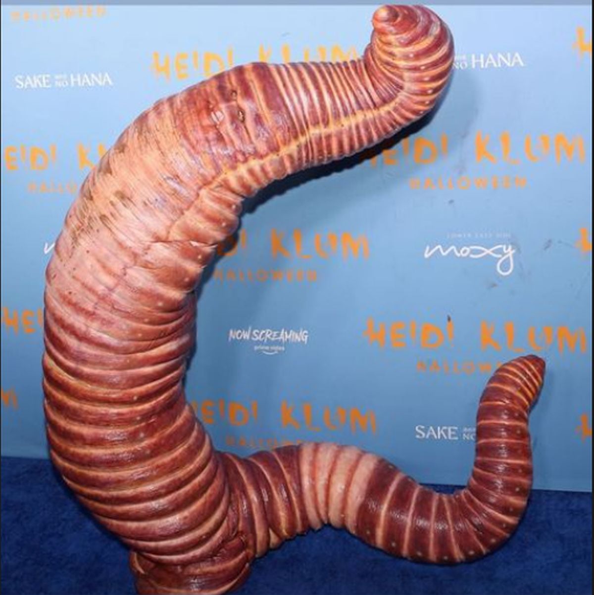 Heidi Klum es lun referente de la moda y la reina de Halloween (Foto: Heidi Klum/Instagram)