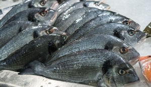 Qué poner en tu nevera para quitar el olor a pescado