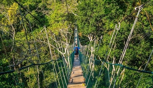 Sky anuncia nueva ruta para conocer la Amazonía peruana: Cusco-Puerto Maldonado