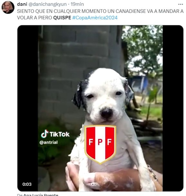 Memes del Perú vs. Canadá