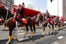 Gran Parada y Desfile Cívico Militar: Lo más destacado del evento patrio en la avenida Brasil
