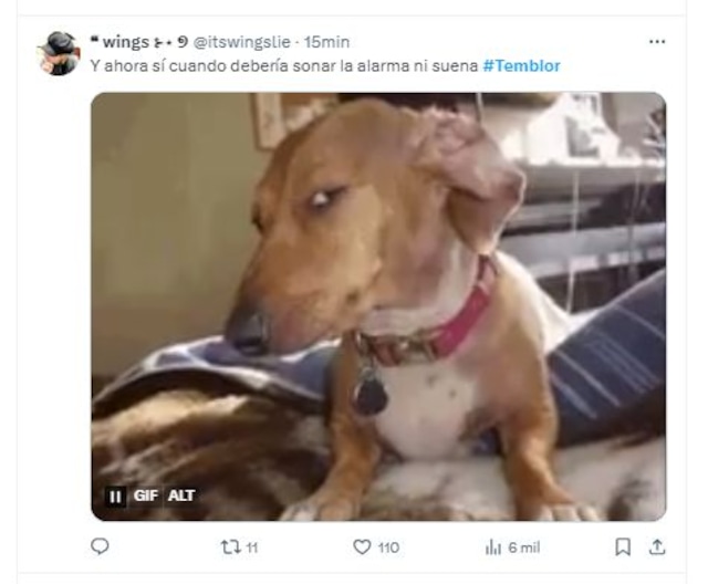TROME | Temblor en Lima: Los memes tras el fuerte sismo y por qué no sonó la alerta de SISMATE (Foto: Twitter)