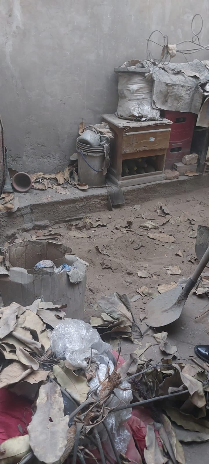 Interior del predio donde el sujeto enterró a su víctima. Según la Policía, cavó el hoyo con esta lampa.