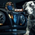 ¿La inteligencia artificial podrá traducir lo que dicen nuestras mascotas? ¿Es posible?