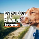 ¡Prepárate para enamorarte! Conoce a los engreídos de Trome de esta semana