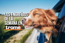 ¡Prepárate para enamorarte! Conoce a los engreídos de Trome de esta semana