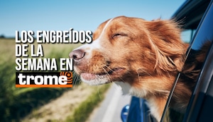 ¡Prepárate para enamorarte! Conoce a los engreídos de Trome de esta semana