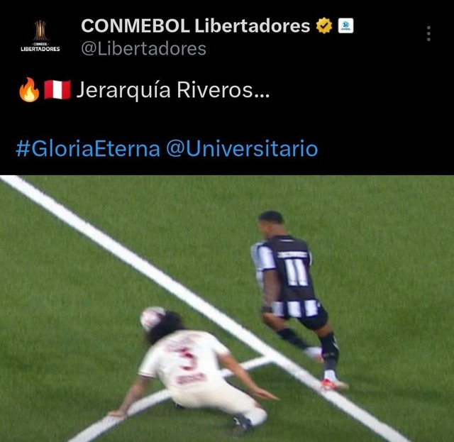 TROME | Los memes del Universitario vs Botafogo (Foto: Twitter)