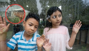 Fenómeno El Niño: Protege tu casa ante las lluvias y asegúrate de que las canaletas del techo estén libres