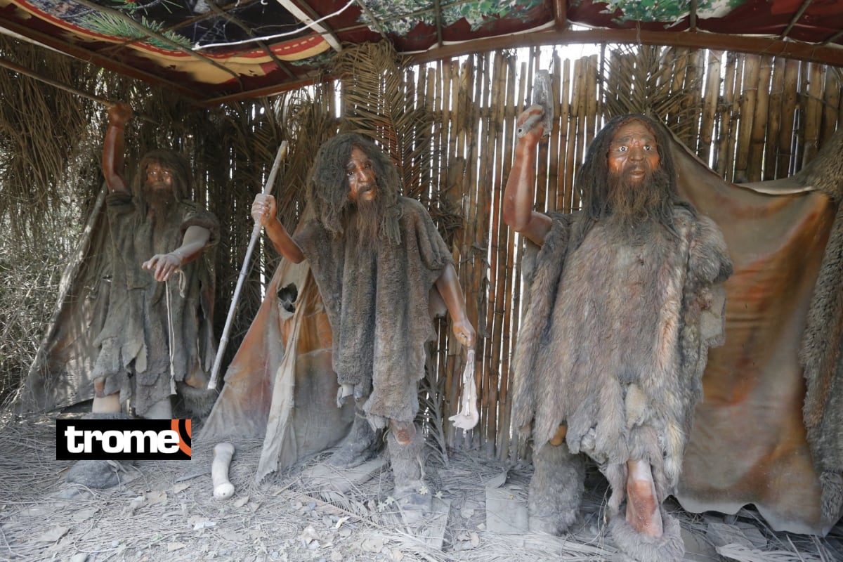 Visitantes podrán recorrer la 'Zona Dino', donde hay 22 figuras animatrónicas de dinosaurios. Foto: Violeta Ayasta