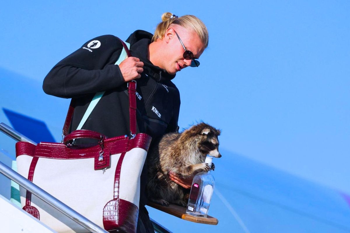 Erling Haanland llegó a Noruega tras aventura en Mundial 2026 (Foto: AP)