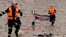 Redoblan búsqueda de policía que fue arrastrado por el río Rímac cuando intentaba rescatar a un perrito