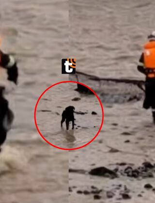 Suspenden temporalmente búsqueda de policía que fue arrastrado por el río Rímac por salvar a perrito