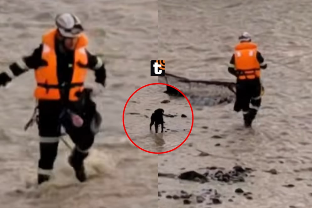 Policía es arrastrado por el río Rímac al intentar rescatar a perrito.