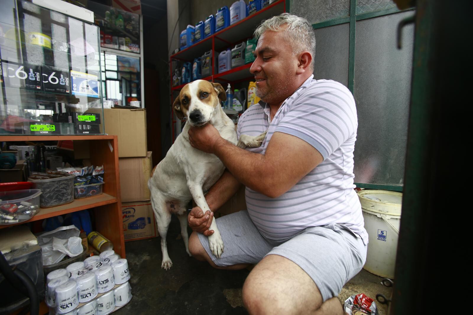 El inquieto y cariñoso 'Milo' posó para el lente de Trome. | Foto: Jessica Vicente / Diario Trome