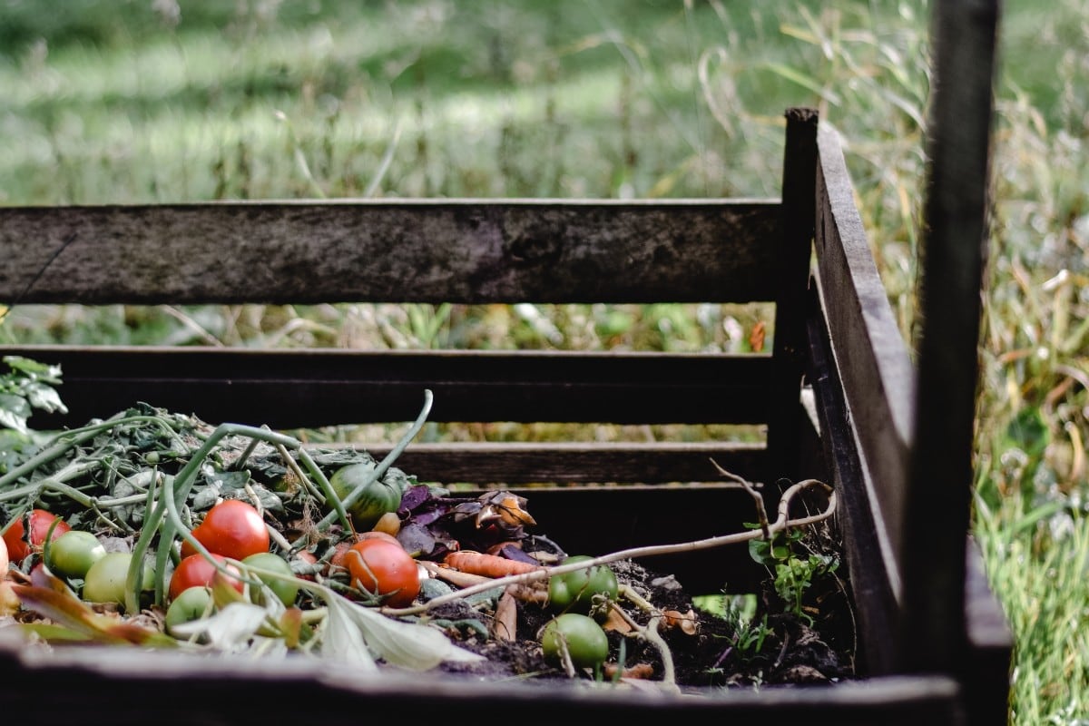 El compost casero crecerá a partir de cáscaras de papas, frutas y verduras, etc. (Foto: Pexels)