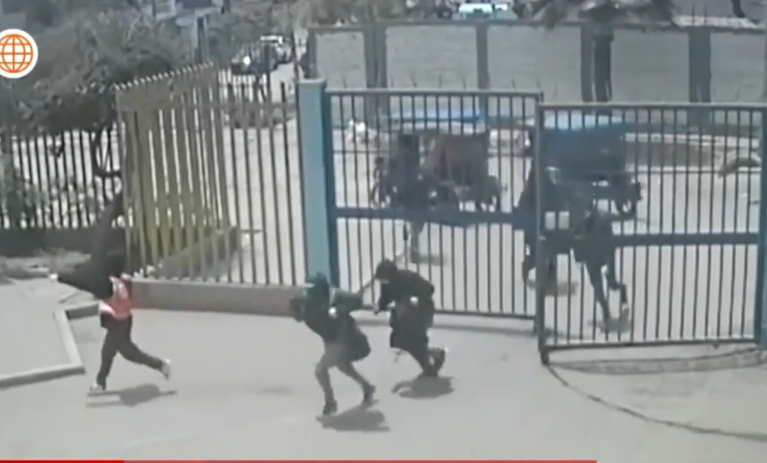 Delincuentes ingresan al Parque Zonal Cahuide