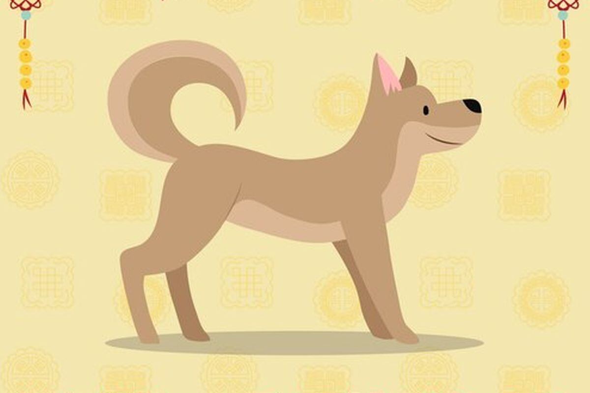 El Perro deberá tomar decisiones muy importantes en este periodo (Foto: Freepik)