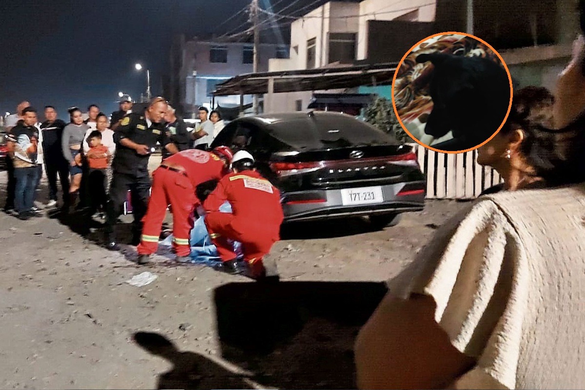 Sicario también acabó con la vida de perrito. (GEC/ Captura Tv)