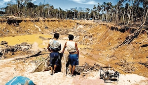 Salvemos la Amazonía