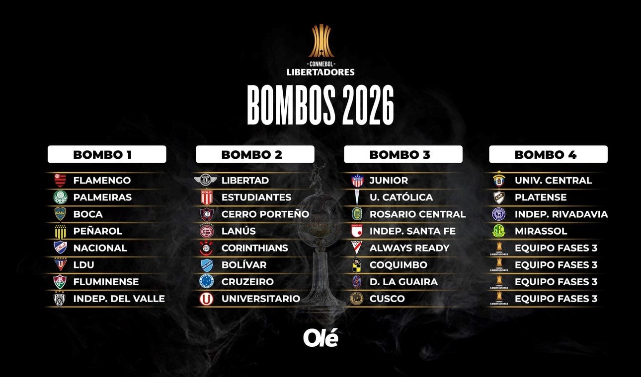 Los clasificados en la Copa Libertadores. (Olé)