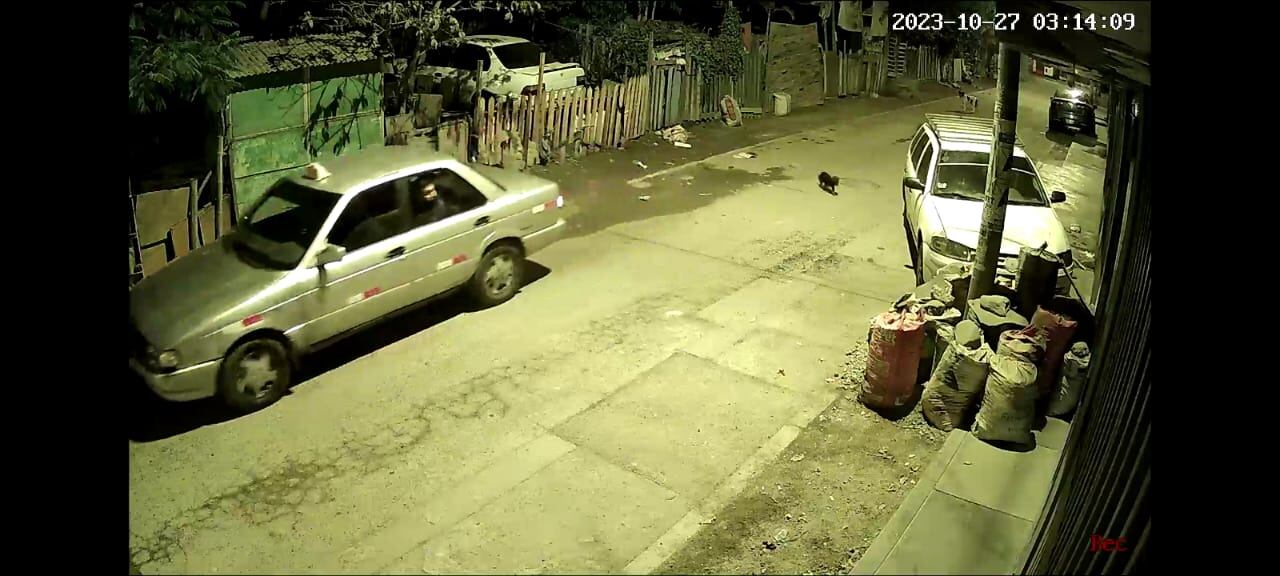 Momento en que el taxi usado por los delincuentes llega al lugar. Uno de los rateros asoma por la ventana.