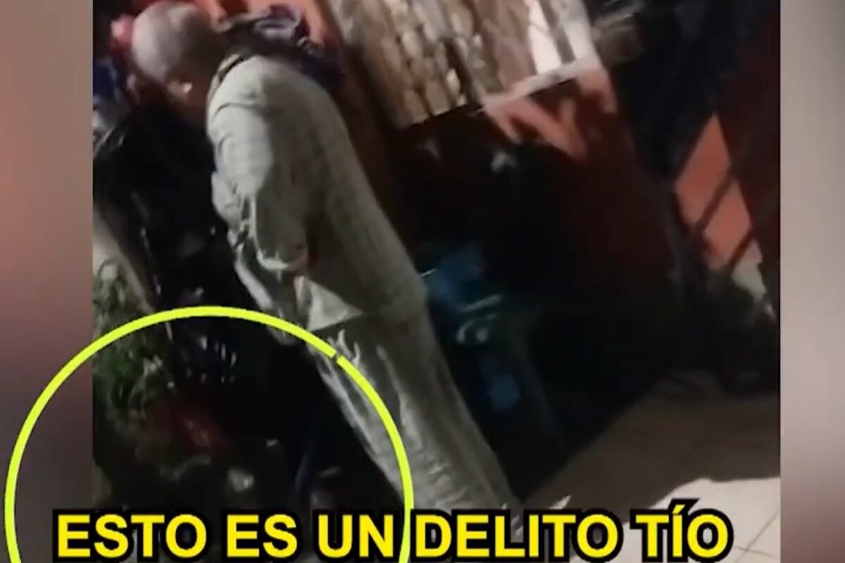 Hombre mata a gatito comunitario y es detenido por la Policía. (Foto: Captura/YT/BDP)