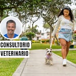 La importancia de un buen paseo para la salud de tu perro