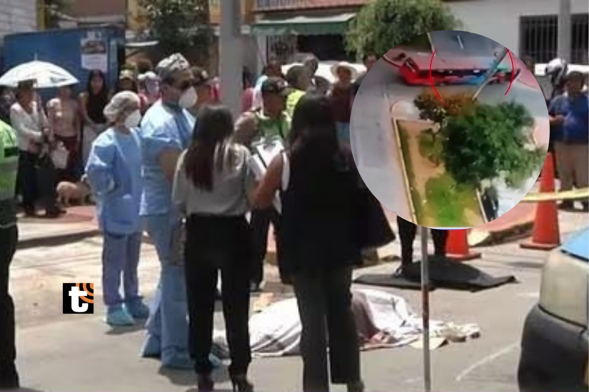 Alejandra Roque Hidalgo cruzaba la pista cuando fue embestida por un bus que realizó un giro en U a toda velocidad.