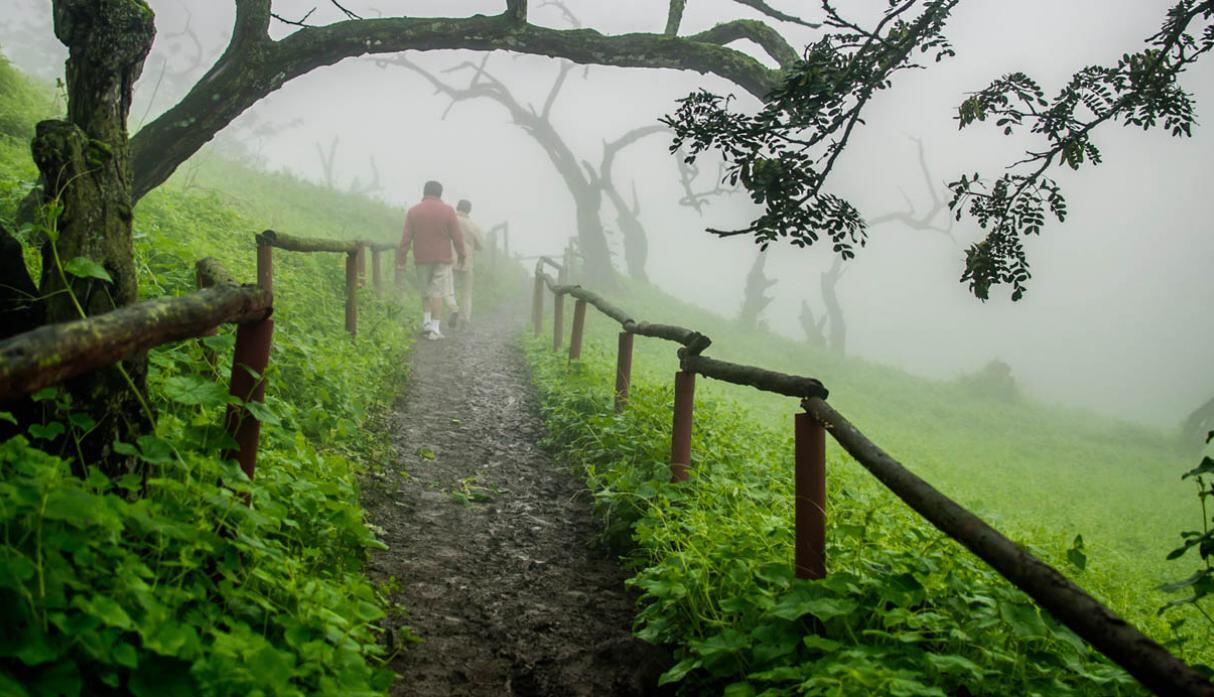 Lomas de Lachay. Para los que gustan de la naturaleza, en el kilómetro 105 de la Panamericana Norte se encuentra esta reserva nacional. El ticket de ingreso tiene un costo de S/ 10 para adultos y S/ 3 para menores, pero si quieres acampar tendrás que hacer un pago único de S/20. (Foto: Shutterstock)