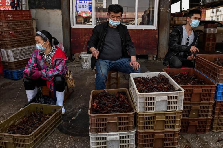Los mercados húmedos en China son reconocidos por vender, entre otras cosas, carne de animales exóticos. (Foto referencial: AFP)