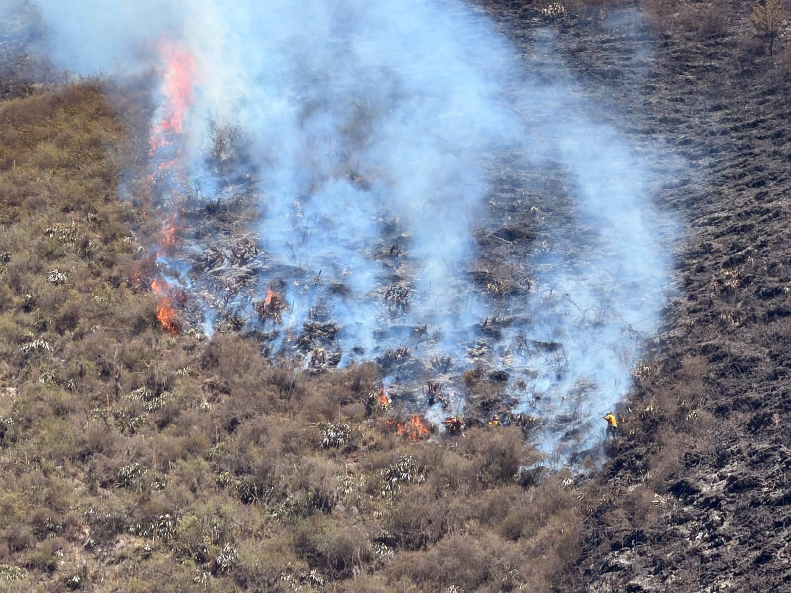 Incendios forestales imparables en el Cusco.