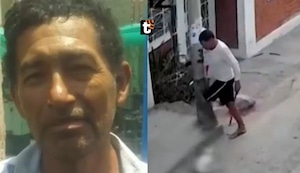 ¡Indignante! Sujeto acaba con la vida de un perro al golpearlo con una piedra en la cabeza en Nazca
