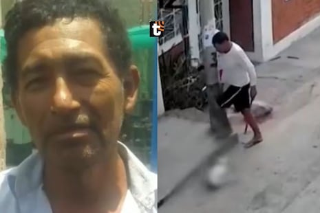 ¡Indignante! Sujeto acaba con la vida de un perro al golpearlo con una piedra en la cabeza en Nazca
