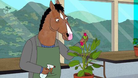 Bojack Horseman.