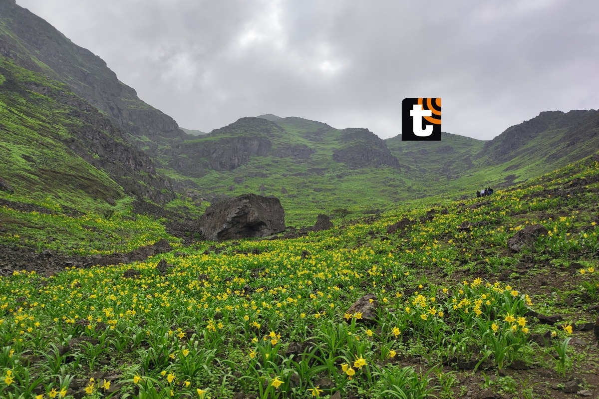 La empresa UNACEM lleva 25 años protegiéndolo.