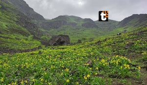 Santuario de Amancay: un tesoro natural de nuestra ciudad